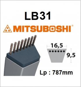 Courroie LB31 MITSUBOSHI - Courroie tondeuse