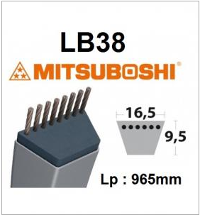 Courroie LB38 MITSUBOSHI - Courroie tondeuse