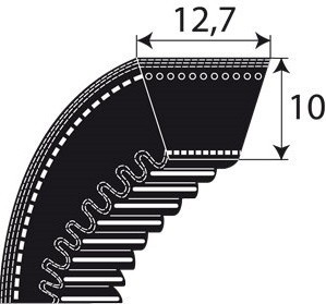 Courroie sortie moteur, réf. Gianni Ferrari 00.17.01.0070 - Courroie tondeuse