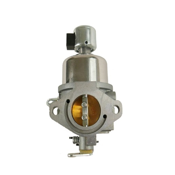 Carburateur Nikki pour moteur Briggs et Stratton - 594593 - Carburateur