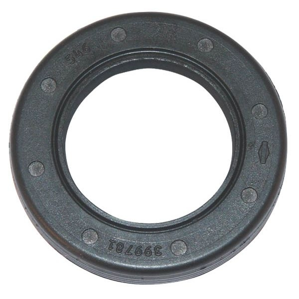 Joint spi moteur Briggs et Stratton - 399781S - Joint spi