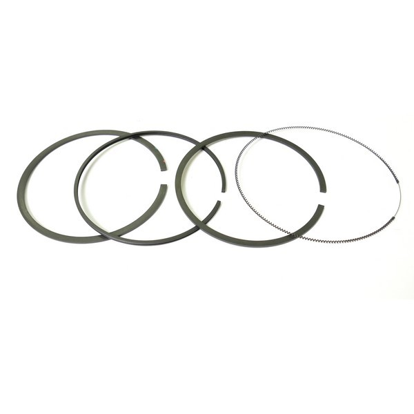 Segment autoportée à moteur Briggs et Stratton - 696403 - Jeu de segments