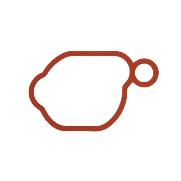 Joint filtre a air moteur Briggs et Stratton - 799580 - Joint