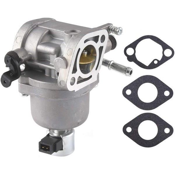 Carburateur moteur autoportée Briggs et Stratton - 699807 - Carburateur