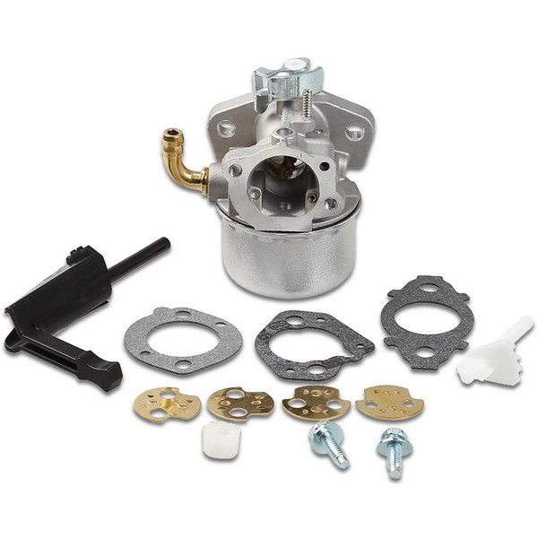 Carburateur moteur Briggs et Stratton - 798654 - Carburateur