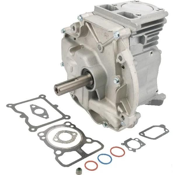 Bloc moteur tondeuse DOV 80x22,2 Briggs et Stratton - 795156A - Moteur