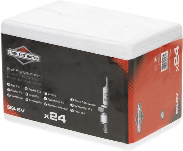 Bougie Briggs et Stratton - 992301C - Bougie et antiparasite