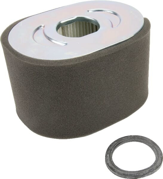 Filtre à air Briggs et Stratton - 799818 - Filtre à air