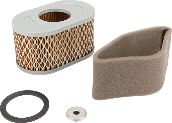 Filtre à air Briggs et Stratton - 797033 - Filtre à air