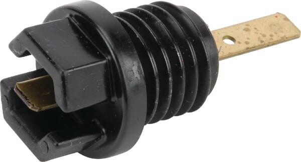 Bouchon d'huile Briggs et Stratton - 699947 - Bouchon d'huile et d'essence