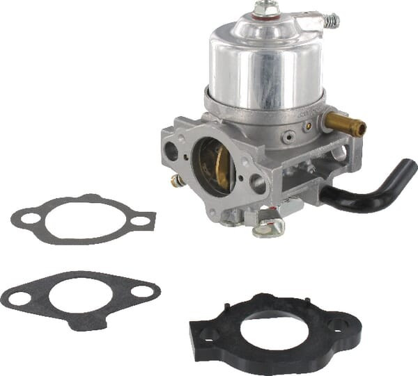 Carburateur Briggs et Stratton - 492256 - Carburateur