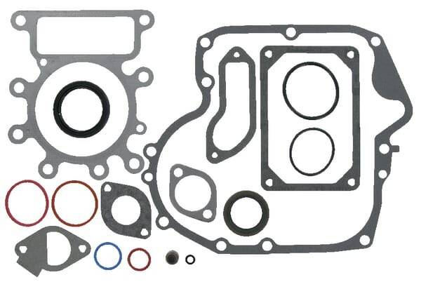 Kit d'étanchéité moteur Briggs et Stratton - 795201 - Kit carburateur