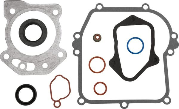 Kit d'étanchéité moteur Briggs et Stratton - 595354 - Kit carburateur