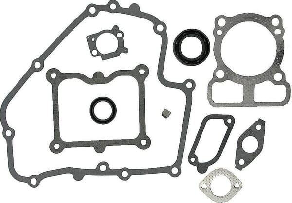 Kit de joints Briggs et Stratton - 793623 - Joint de Culasse