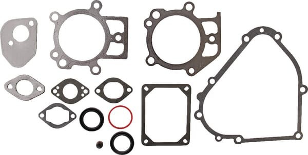 Kit de joints Briggs et Stratton - 695438 - Joint de Culasse