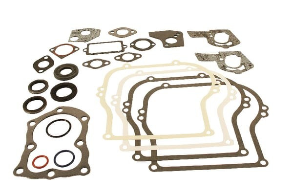 Kit de joints Briggs et Stratton - 495603 - Joint de Culasse