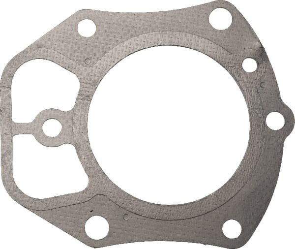 Joint de culasse Briggs et Stratton - 809730 - Joint de Culasse