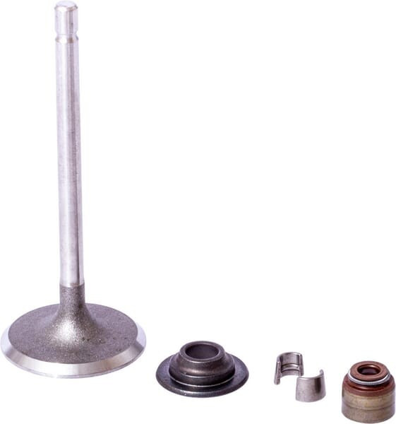 Soupape d'admission Briggs et Stratton - 843730 - Joint d'admission