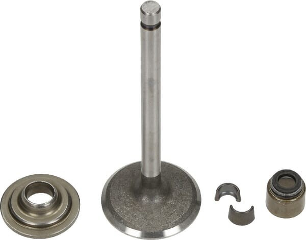 Soupape d'admission Briggs et Stratton - 792200 - Joint d'admission