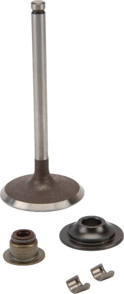 Soupape d'admission Briggs et Stratton - 716080 - Joint d'admission