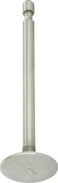 Soupape d'admission Briggs et Stratton - 690429 - Joint d'admission