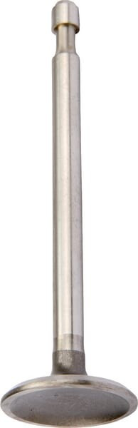 Soupape d'admission pour Briggs et Stratton - 590393 - Soupape