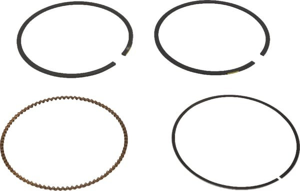 Kit de segments Briggs et Stratton - 791787 - Jeu de segments