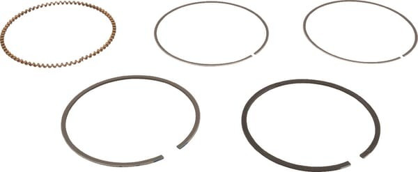 Kit de segments Briggs et Stratton - 843806 - Jeu de segments