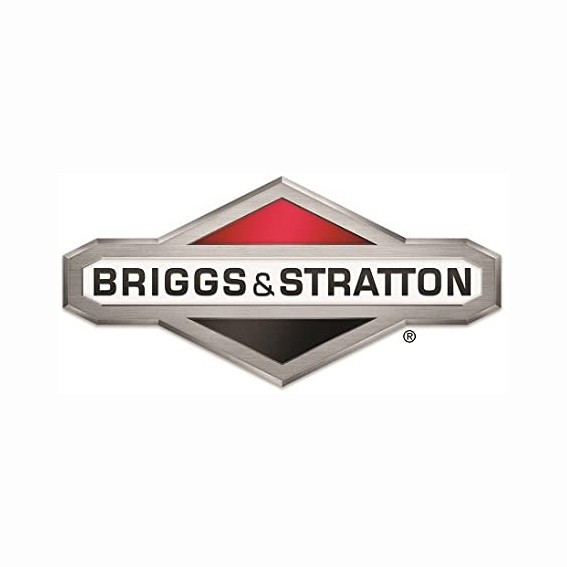 Cylindre Briggs et Stratton - 699505 - Cylindre