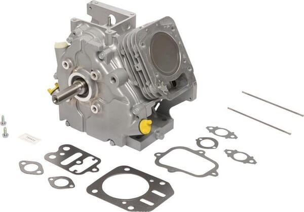 Shortblock modèle 15 Briggs et Stratton - 795433A - Cylindre