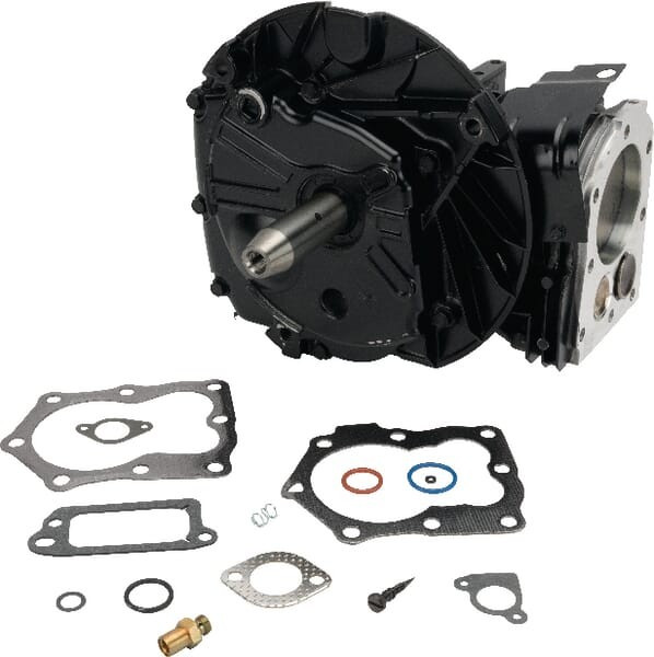 Shortblock Briggs et Stratton - 799980 - Cylindre