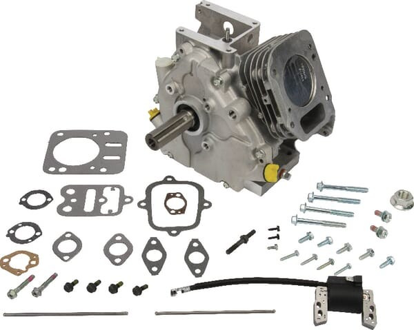 Shortblock Briggs et Stratton - 699585 - Cylindre