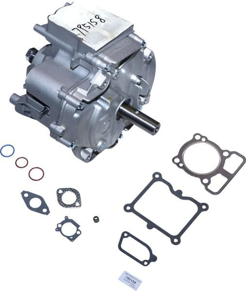 Shortblock 1008 DOV Briggs et Stratton - 795158 - Cylindre