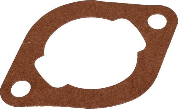 Joint de filtre à air Briggs et Stratton - 710557 - Joint