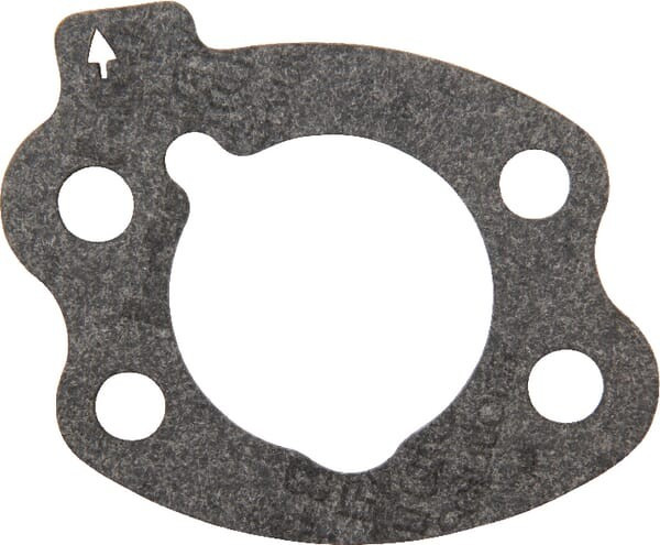 Joint de filtre à air briggs Briggs et Stratton - 844931 - Joint