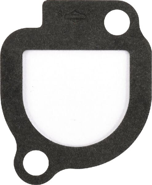 Joint d'étanchéité Briggs et Stratton - 272043 - Joint