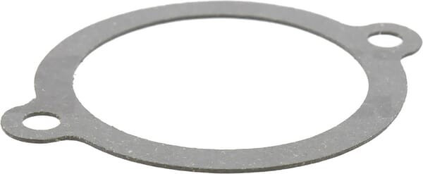 Joint d'étanchéité Briggs et Stratton - 271910 - Joint