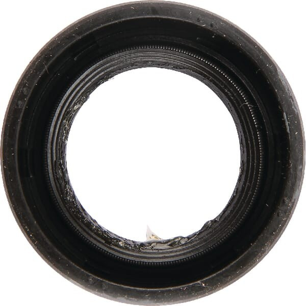 Joint à lèvre Briggs et Stratton - 710103 - Joint