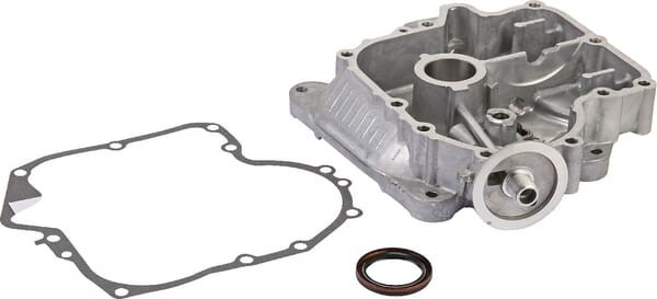 Carter de protection Briggs et Stratton - 592849 - Carter