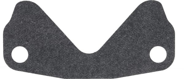 Joint Briggs et Stratton - 843102 - Joint