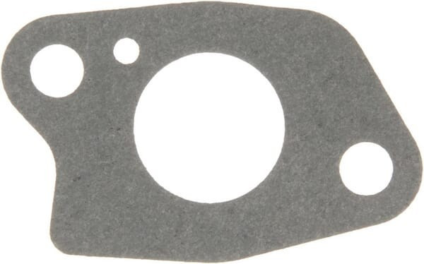 Joint Briggs et Stratton - 590613 - Joint