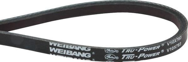 Courroie Briggs et Stratton - 701254YP - Courroie tondeuse