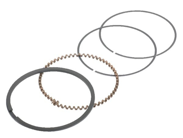 Segments - ETESIA - Référence ET15890 - Jeu de segments