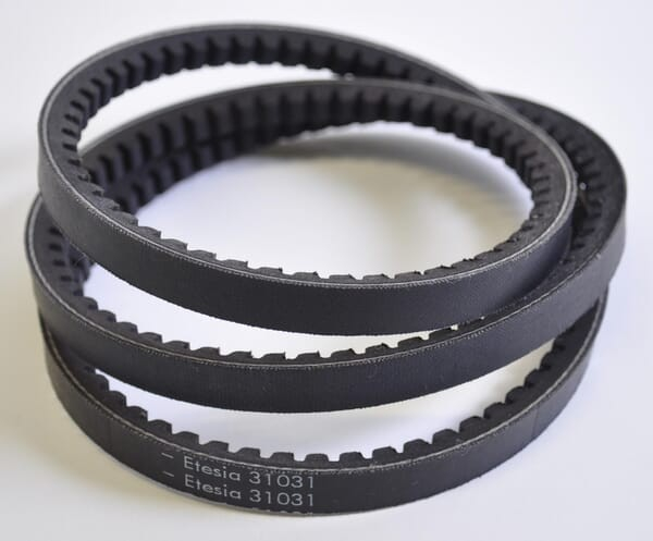 Courroie - ETESIA - Référence ET31031 - Courroie tondeuse