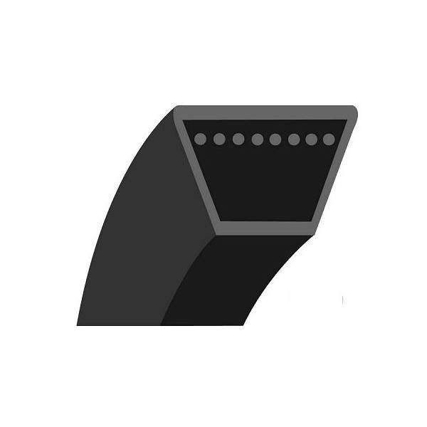 Courroie traction tondeuse Outils Wolf RM46B (F) - Courroie tondeuse