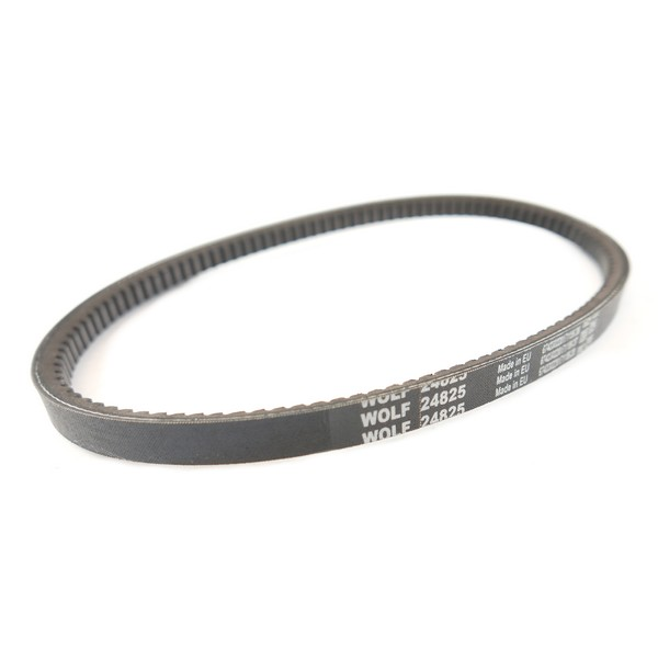 Courroie embrayage de lame tondeuse Wolf PBTF46 - Courroie tondeuse