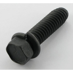 Vis MTD 7100502A - Ecrou et vis de lame