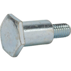 Vis MTD 7380150 - Ecrou et vis de lame