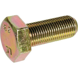 Vis MTD WI16862 - Ecrou et vis de lame