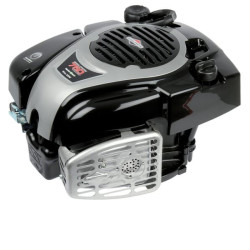 Moteur Briggs et Stratton - 1006050040H5 - Moteur